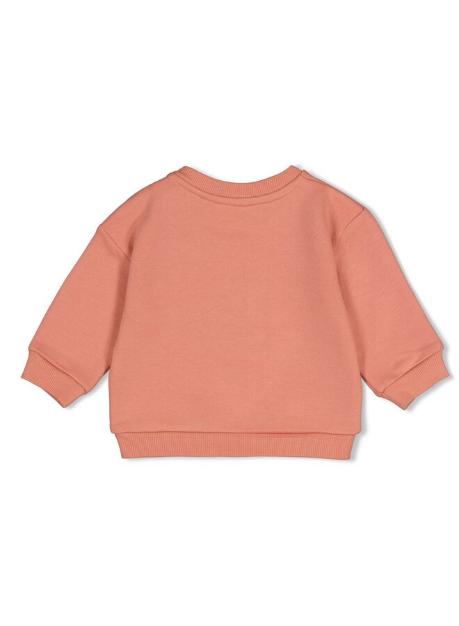 Feetje - Sweater oversized - Forest garden - Roze