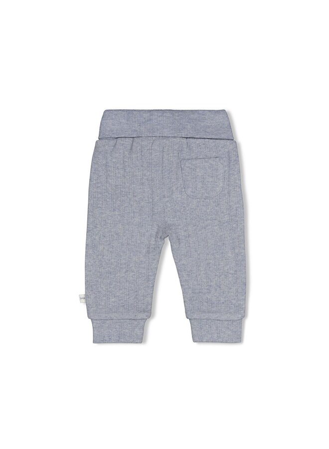 Feetje - Broek rib - Breakfast buddy - Blauw melange