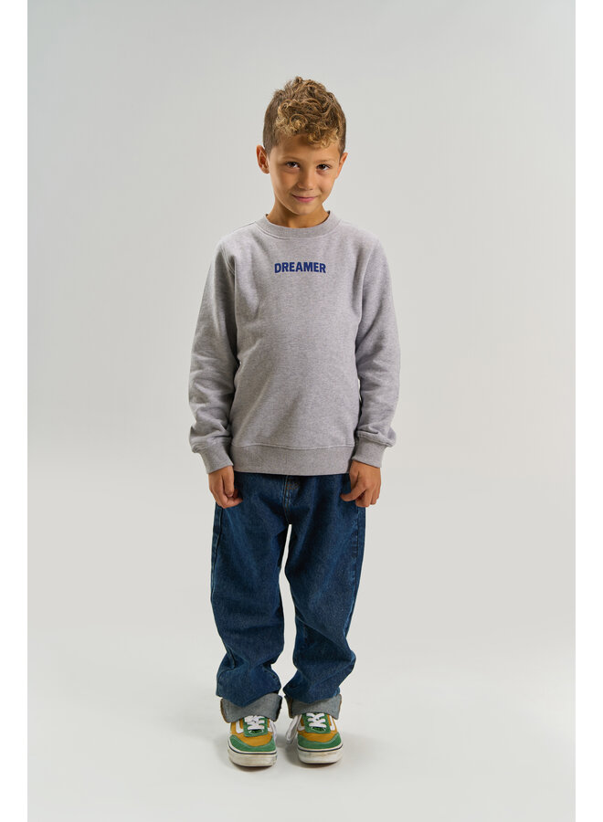 The New - Villard sweatshirt - Light grey melange