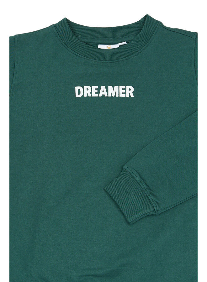 The New - Villard sweatshirt - June bug