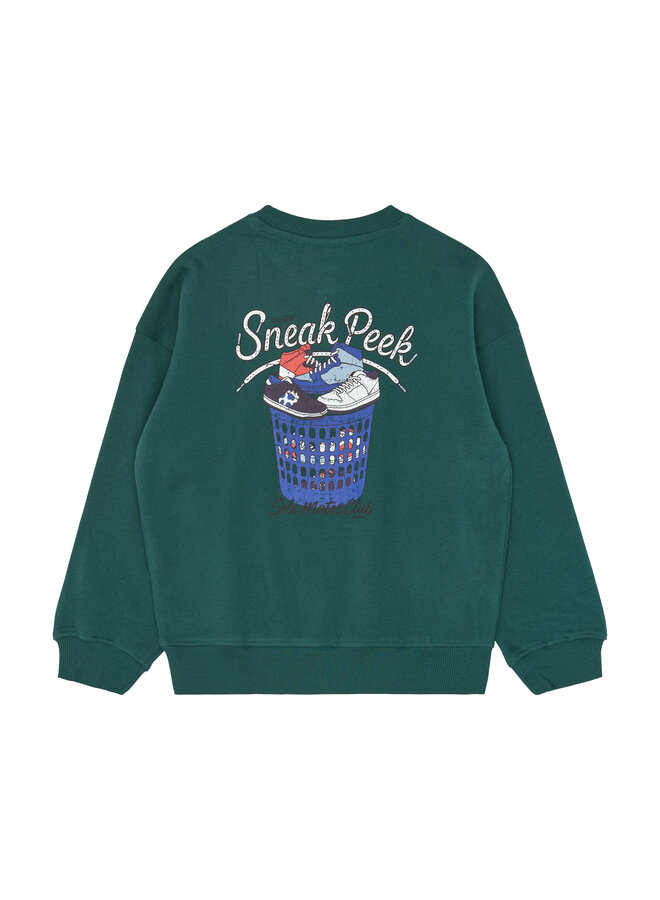 The New - Vitalio oversized sweatshirt - June bug