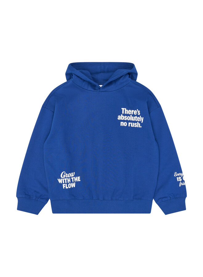 The New - Vermont oversized hoodie - Mazarine blue