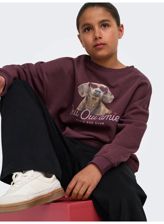 Kids Only - Bila print o-neck sweater - Fudge/Oui