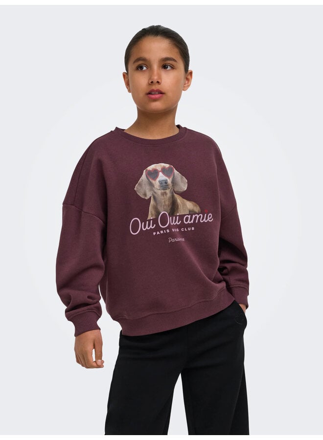 Kids Only - Bila print o-neck sweater - Fudge/Oui
