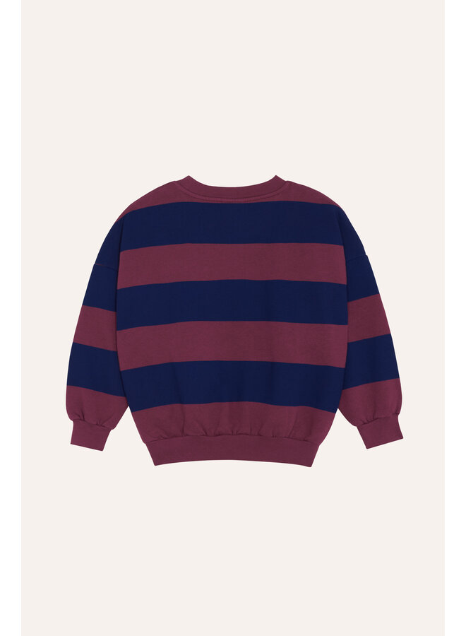 The Campamento - Blue stripes sweatshirt