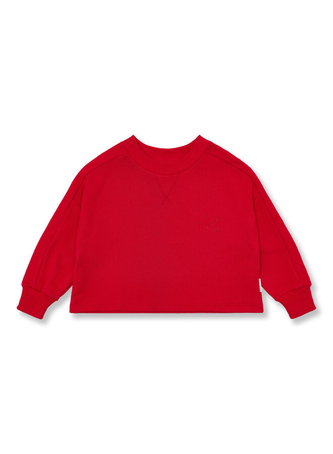 Coco sweater - Salsa