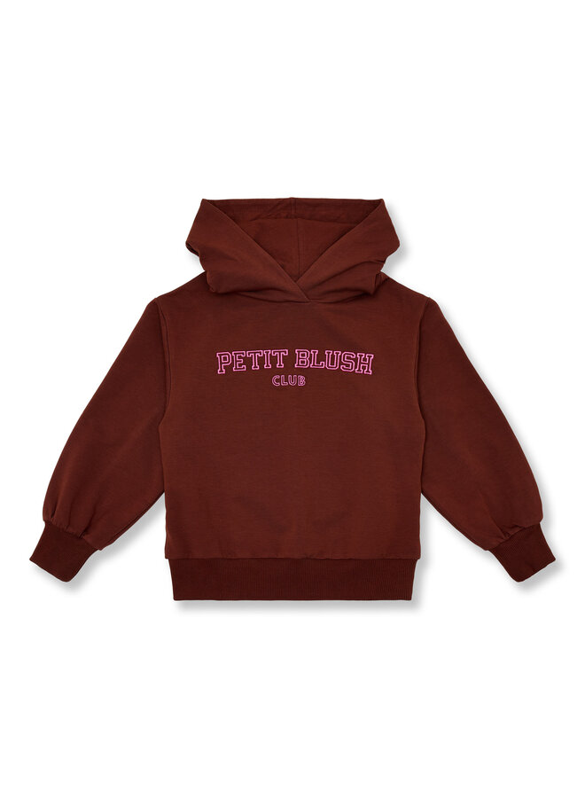 Hooded sweater - Brown