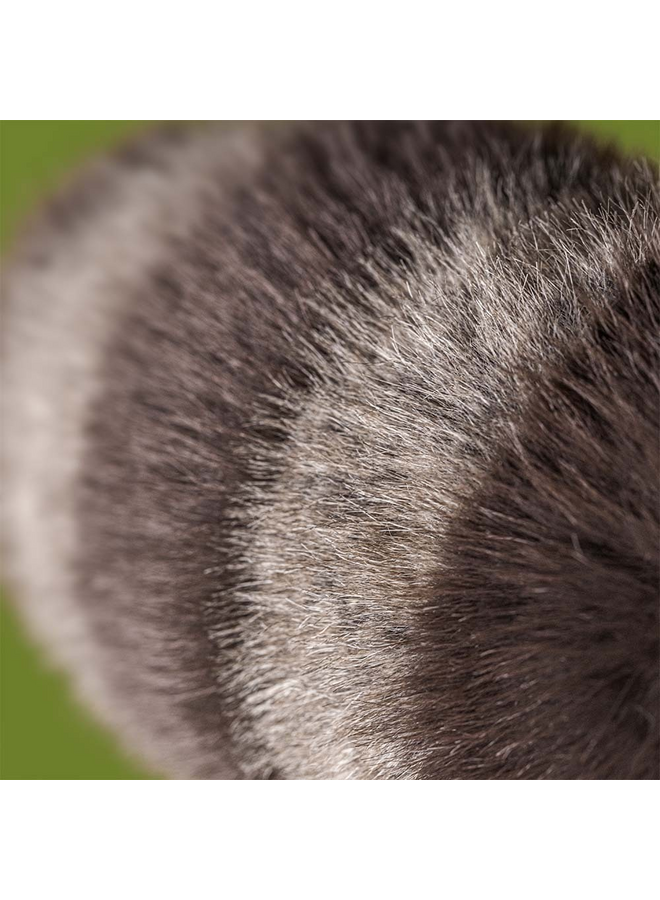 Jellycat - Trixiwoo raccoon
