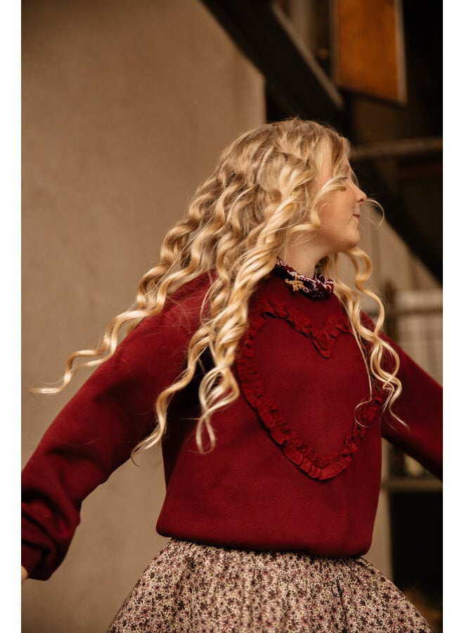 The littlecuties - Sweater dream - Bordeaux