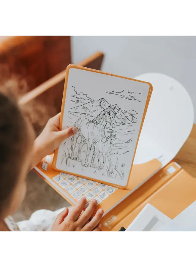 Kidywolf - Kidydraw-pad refill - Horses 8+