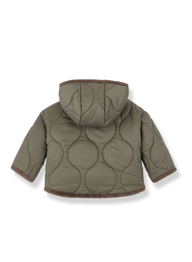 1+ in the family - Calgary padded jacket - Khaki