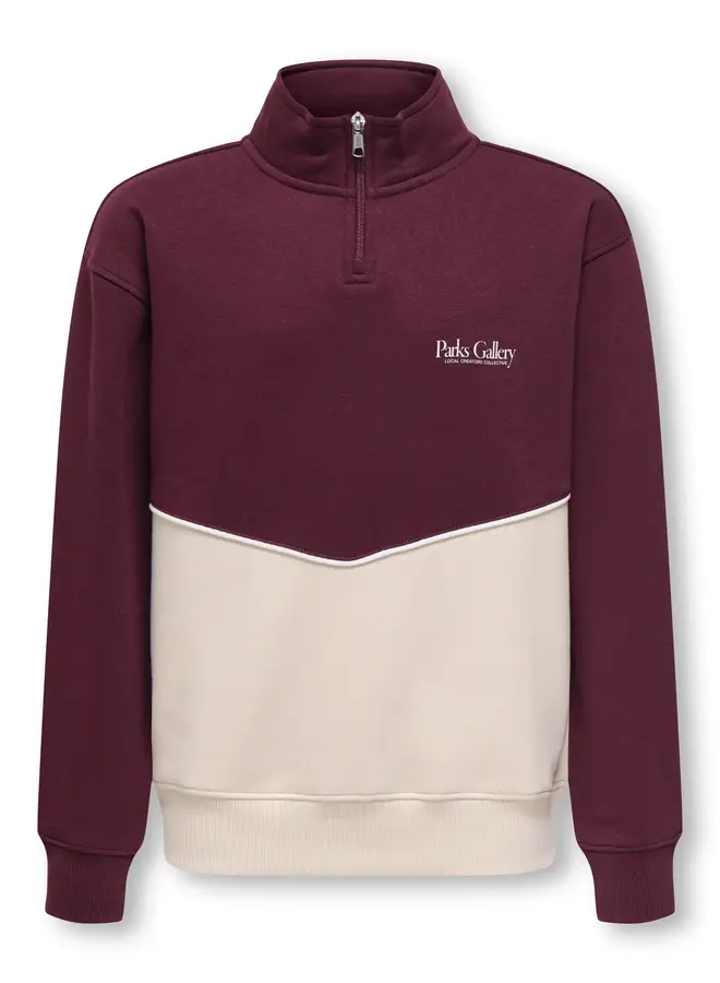 ONLY & SONS Junior - Ceres half zip parks high neck - Moonbeam/Port royale