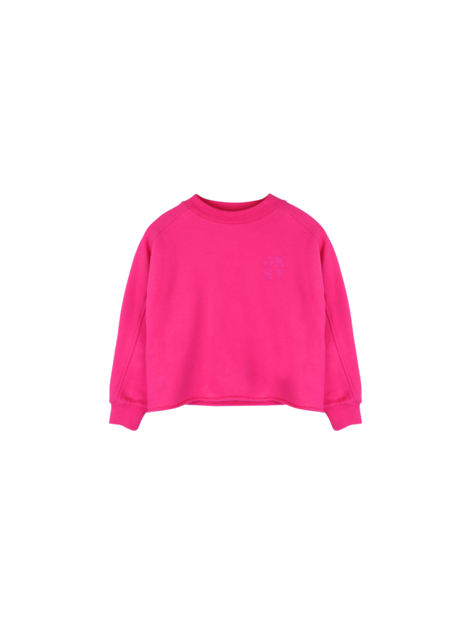 Jenest - Billie sweater - Raspberry pink