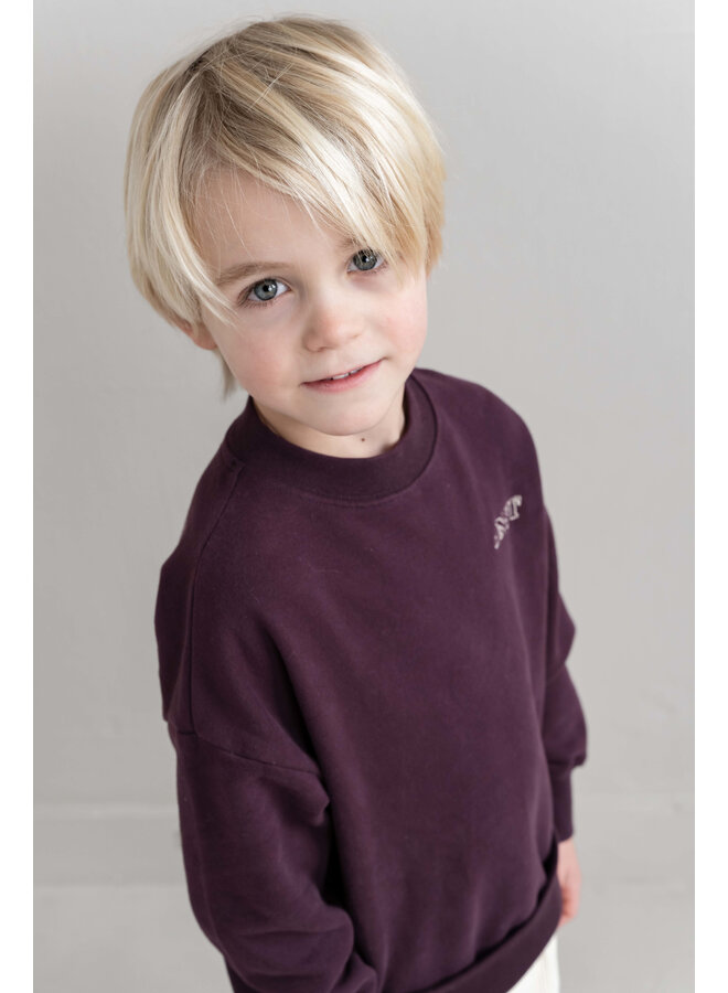 Jenest - Jnst sweater - Cherry bordeaux