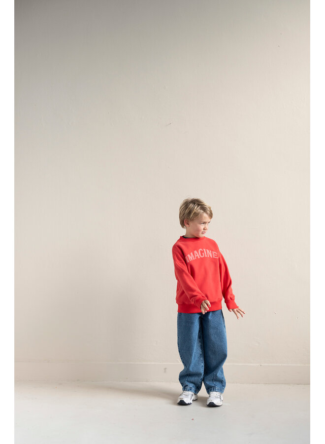 Jenest - Bird sweater - Spicy red