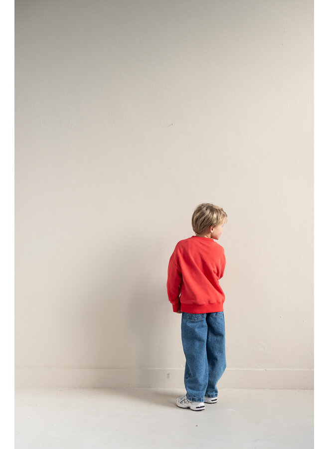 Jenest - Bird sweater - Spicy red