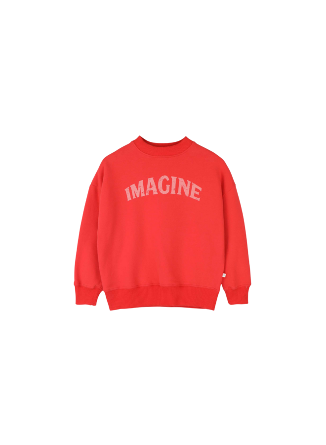 Jenest - Bird sweater - Spicy red