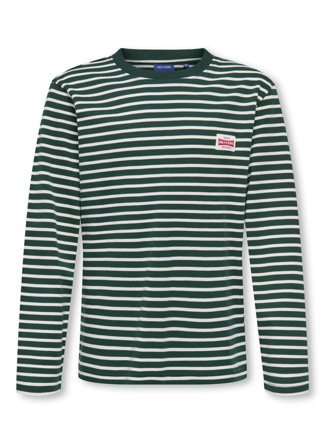 ONLY & SONS Junior - Dawson stripe tee - Pine grove/Egret