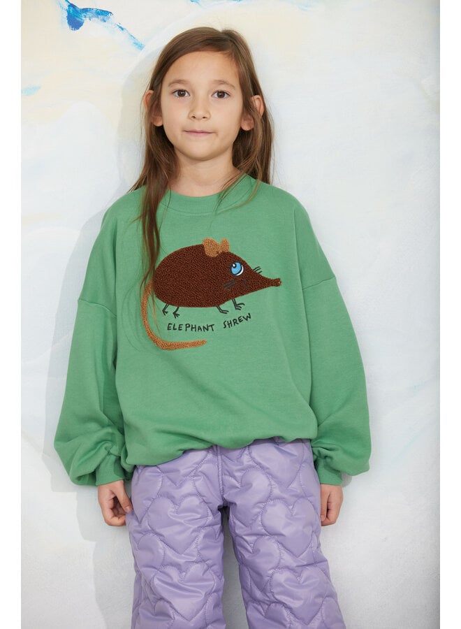Mini Rodini - Elephant shrew chenille sweatshirt - Green