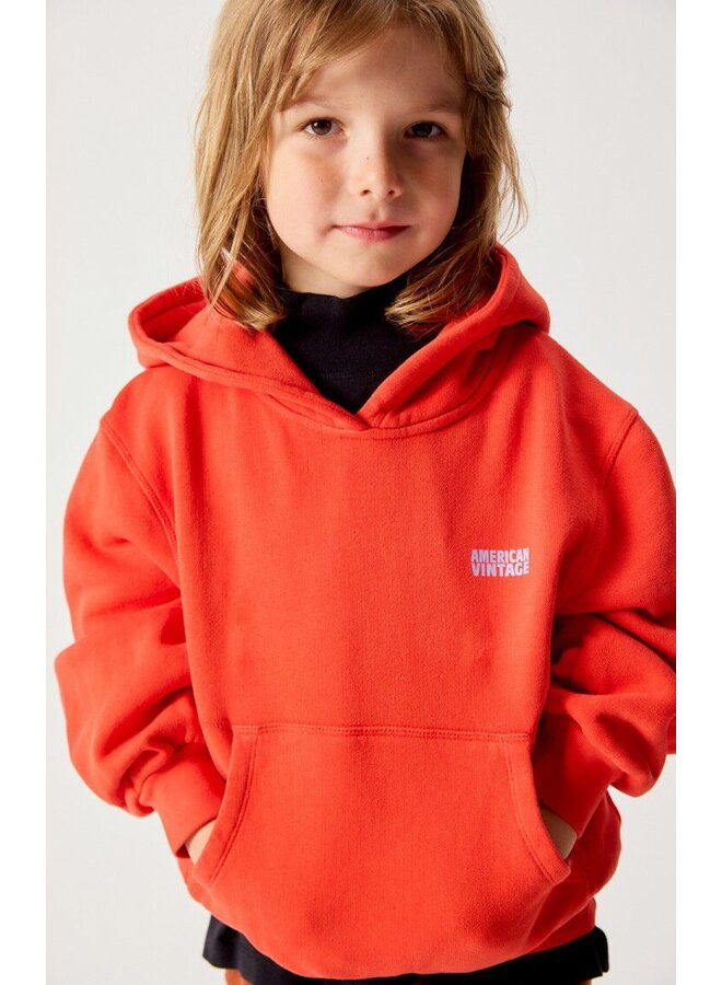 American Vintage - Izubird hoodie - Love vintage