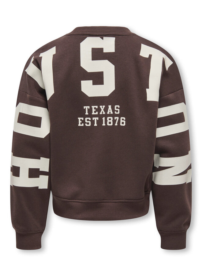 Kids Only - Sweat back/sleeve print - Coffee bean birch/Houston