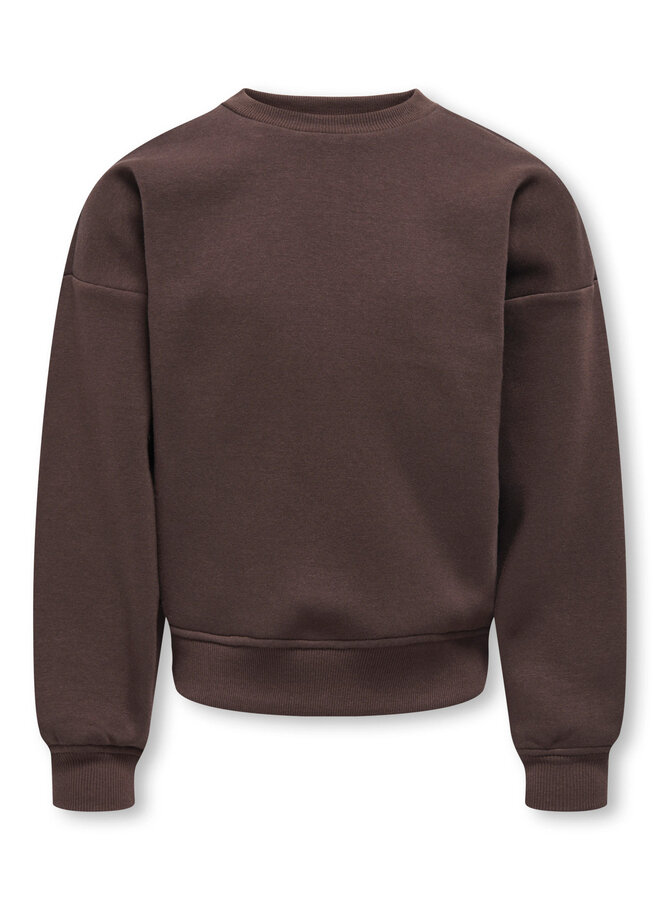 Kids Only - Sweat back/sleeve print - Coffee bean birch/Houston