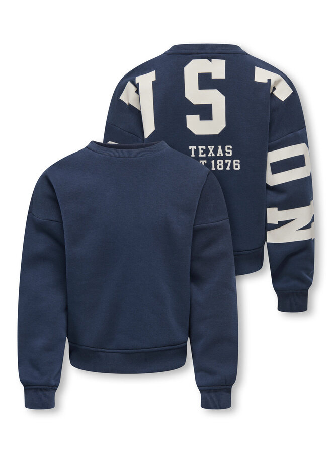 Kids Only - Sweat back/sleeve print - Night sky birch/Houston