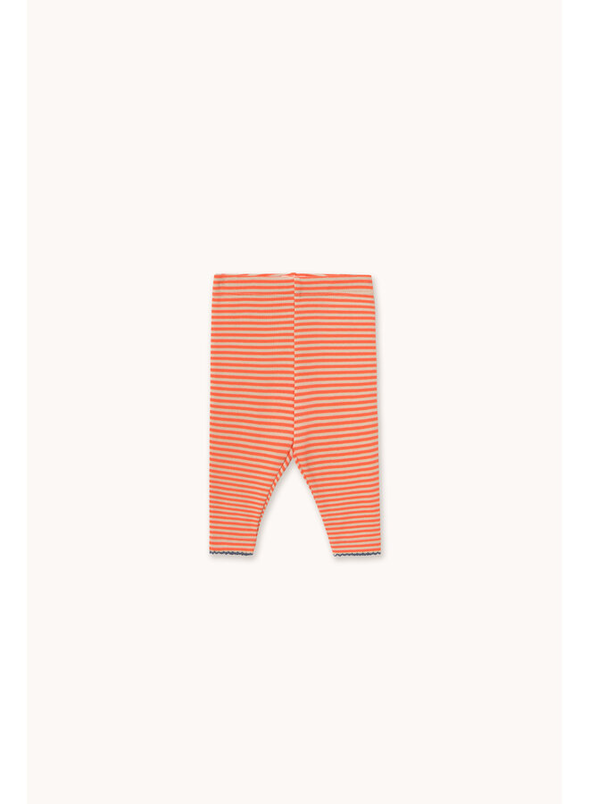 Tiny Cottons - Stripes rib baby pant - Summer red