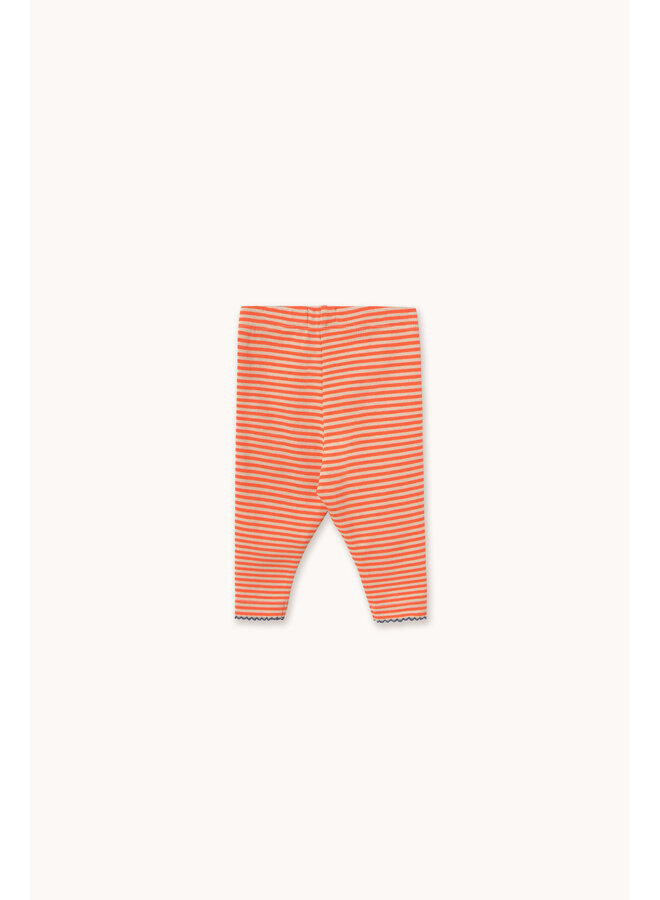 Tiny Cottons - Stripes rib baby pant - Summer red