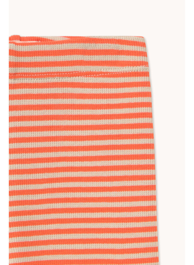 Tiny Cottons - Stripes rib baby pant - Summer red