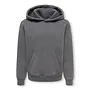 ONLY & SONS Junior - Larry eflow rlx wash hoodie - Grey pinstripe