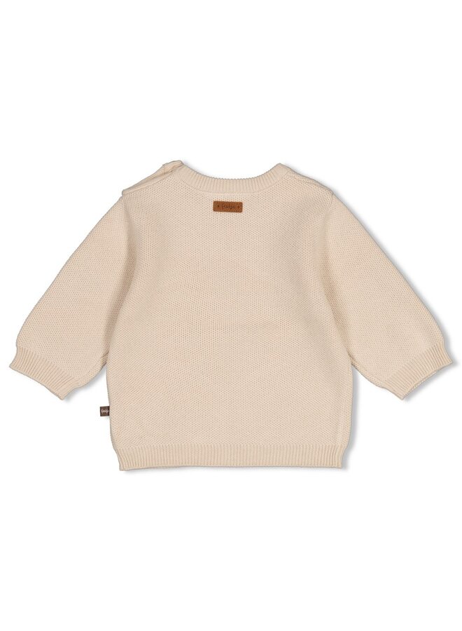 Feetje - Sweater gebreid - The knits - Zand