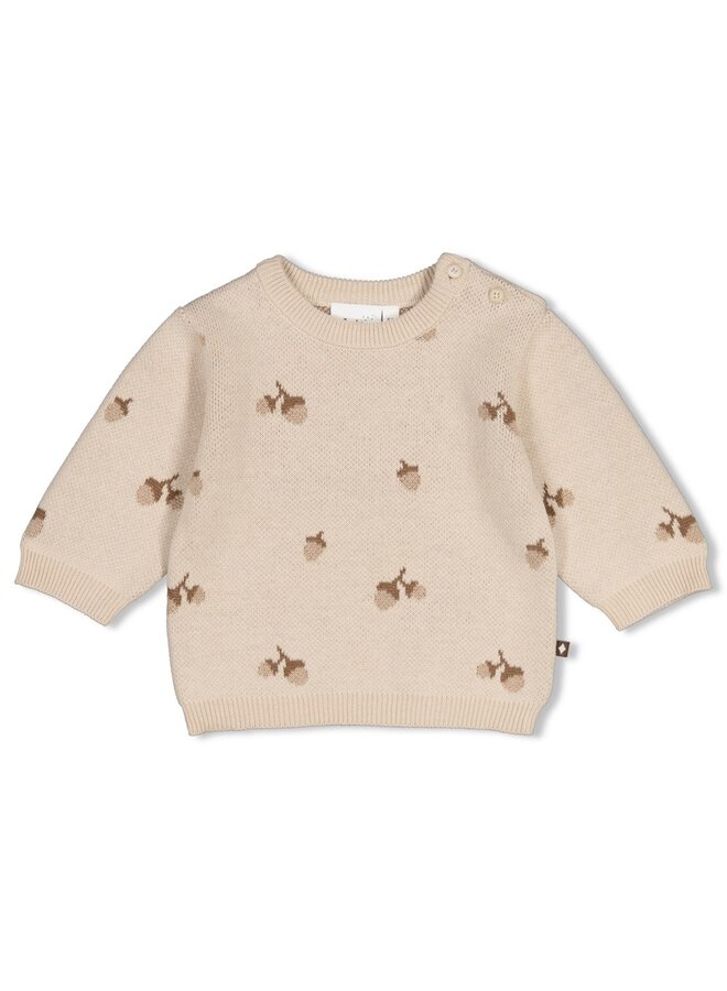 Feetje - Sweater gebreid AOP - The knits - Zand