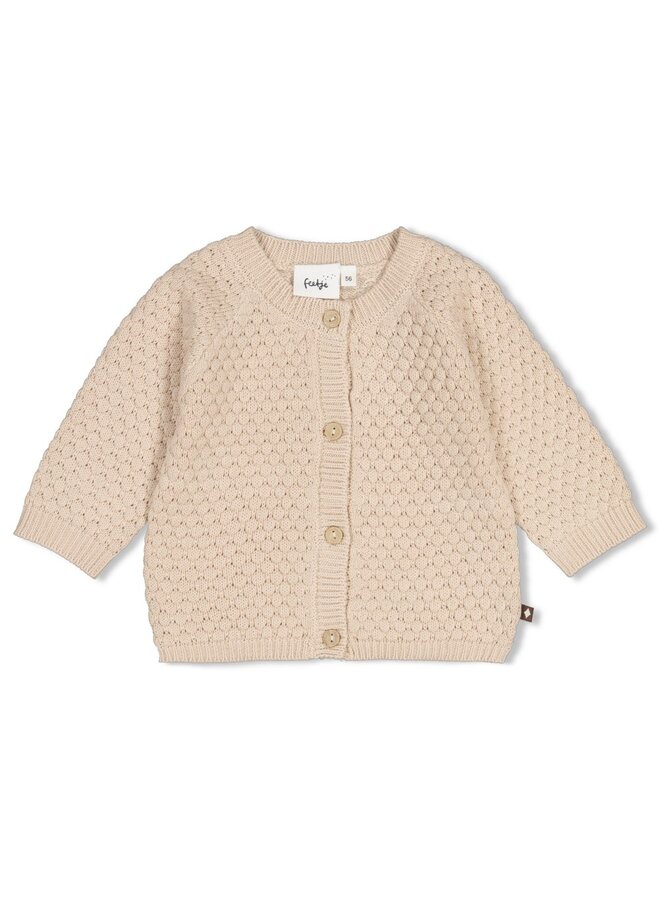 Vestje gebreid - The knits - Zand