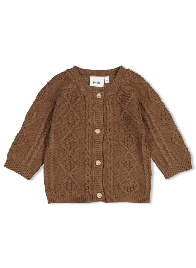 Vestje gebreid cable-knit - The knits - Bruin