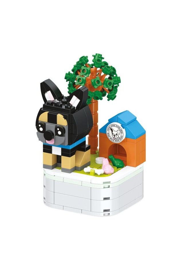 Moses - 82390 - Brick cute dogs