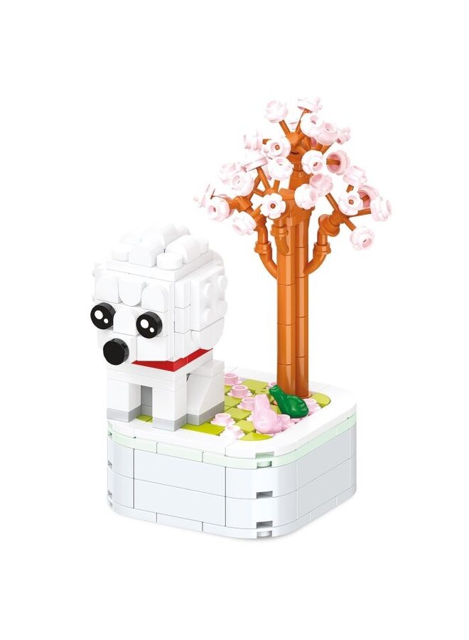Moses - 82390 - Brick cute dogs
