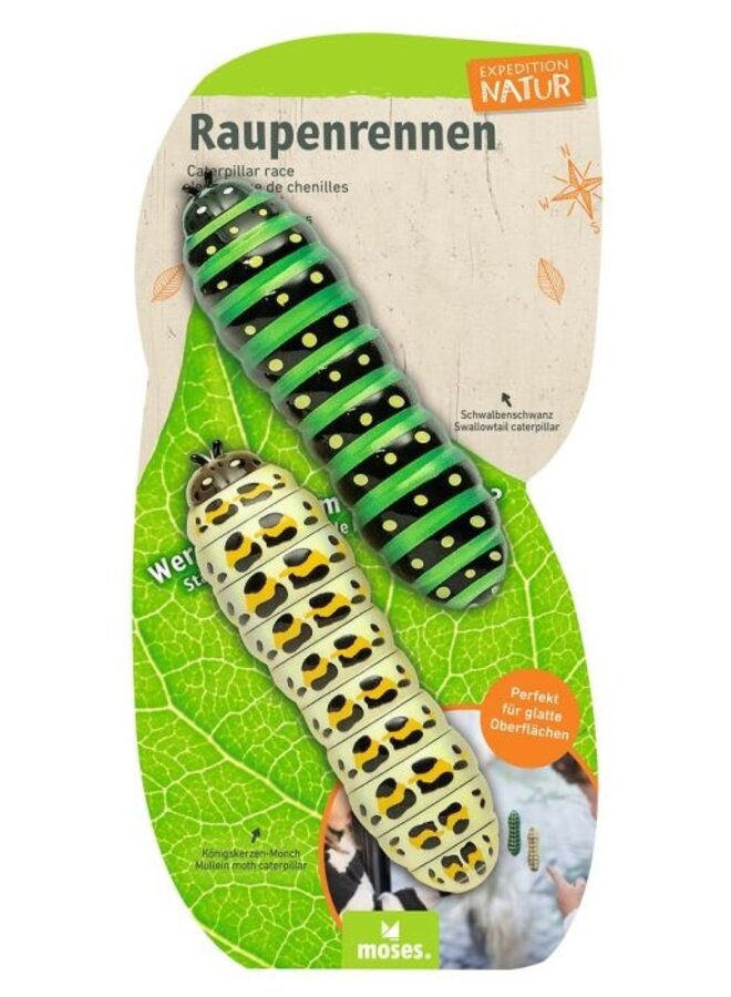 9916 - Expeditie natuur 2 rennende rupsen op kaart