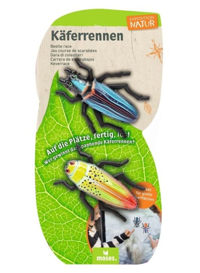 9917 - Expeditie natuur 2 rennende kevers op kaart