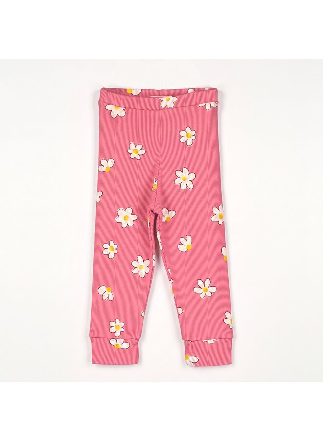Baby rib leggings daisies all over - Pink lemonade