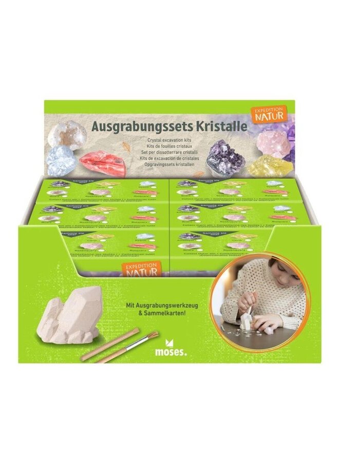 Moses - 9880 - Expeditie natuur uithakset kristallen