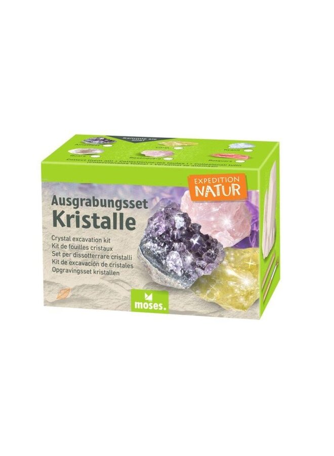 9880 - Expeditie natuur uithakset kristallen