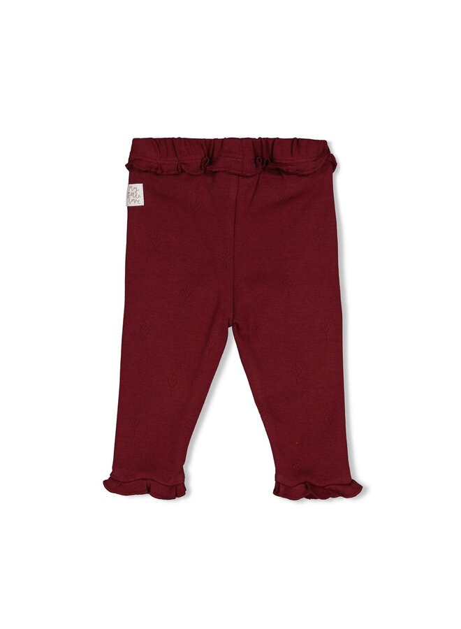 Feetje - Legging pointelle rib - My little love - Bordeaux