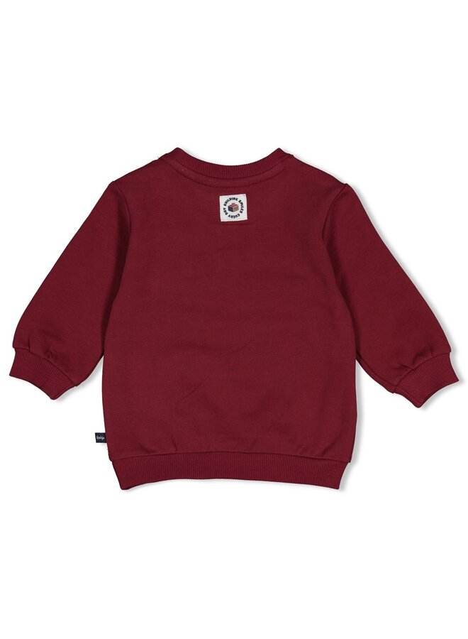 Feetje - Sweater - Built for fun - Bordeaux