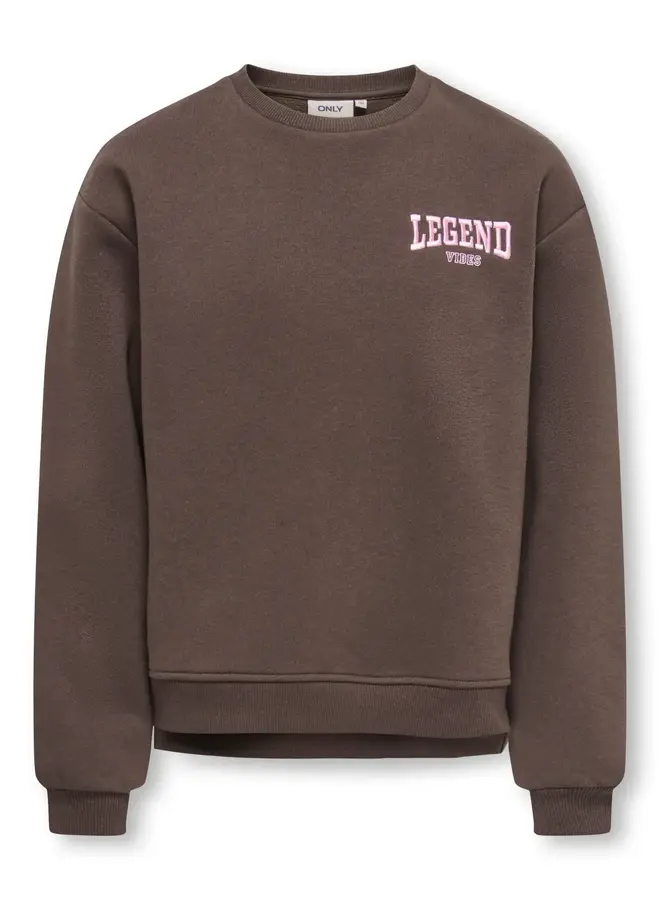 Kids Only - Vicky o-neck sweat - Bracken legend vibes/Pink lady