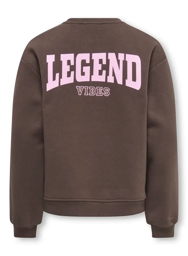 Kids Only - Vicky o-neck sweat - Bracken legend vibes/Pink lady