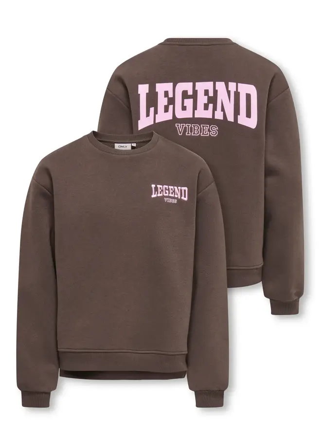 Vicky o-neck sweat - Bracken legend vibes/Pink lady