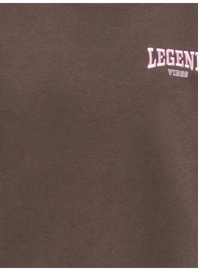 Kids Only - Vicky o-neck sweat - Bracken legend vibes/Pink lady