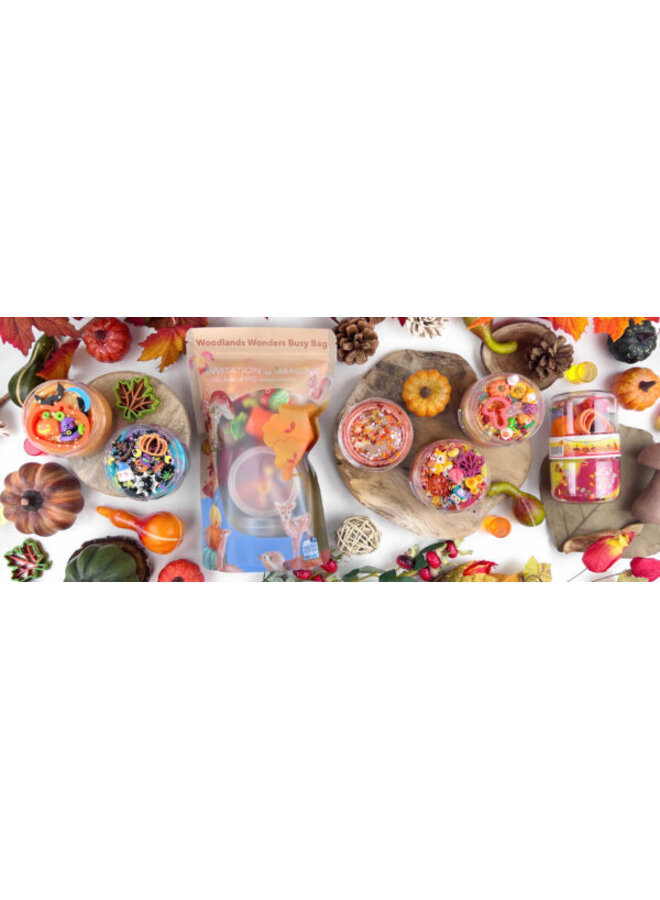 Invitation to imagine - Woodlands wonders busy bag