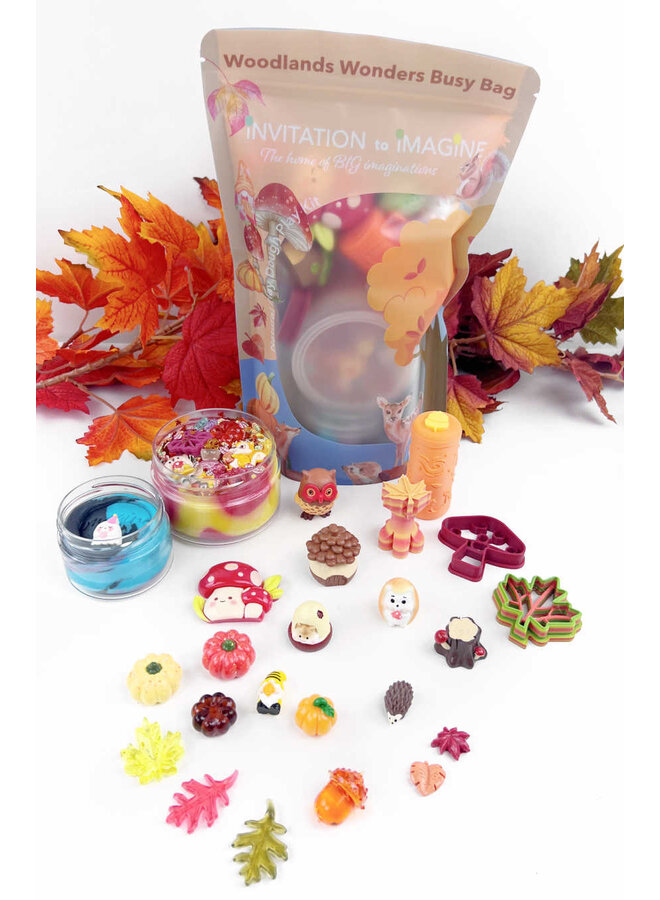 Invitation to imagine - Woodlands wonders busy bag